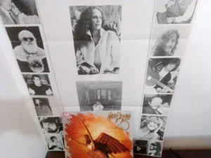LP Vinil Maria Bethânia - 25 anos