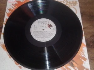 LP Vinil Maria Bethânia - 25 anos
