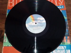 Lp Vinil Big Bill Broonzy and Washboard Sam - Blues Anthology Vol 3