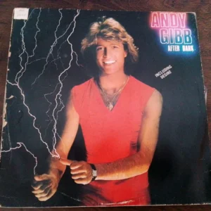 LP Vinil Andy Gibb - After Dark