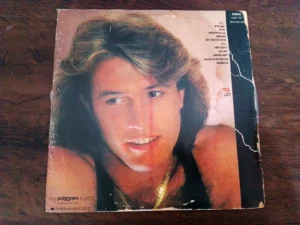 LP Vinil Andy Gibb - After Dark
