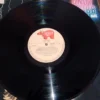 LP Vinil Andy Gibb - After Dark