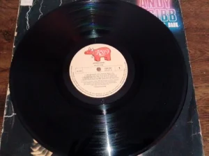 LP Vinil Andy Gibb - After Dark
