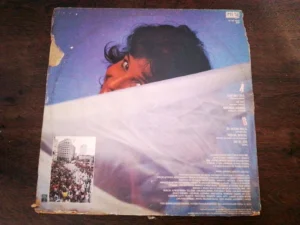 LP Vinil Sarajane - Rio De Leite