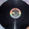 LP Vinil Sarajane - Rio De Leite