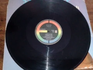LP Vinil Sarajane - Rio De Leite