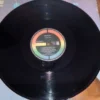 LP Vinil Sarajane - Rio De Leite
