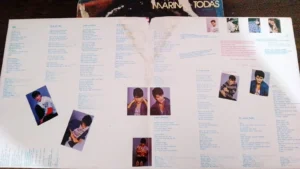 LP Vinil Marina - Todas