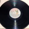 LP Vinil Elis Regina - Saudade Do Brasil
