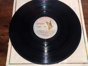 LP Vinil Elis Regina - Saudade Do Brasil