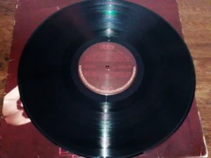 LP Vinil Gal Costa - Plural