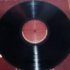 LP Vinil Gal Costa - Plural