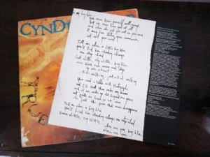 IMG_20260423_151059 LP Vinil Cyndi Lauper - True Colors