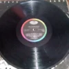 LP Vinil Steve Miller Band - Living In The 20th Century