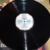 LP Vinil Stevie Wonder - Characters