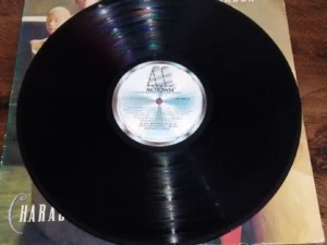LP Vinil Stevie Wonder - Characters