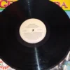 Lp Vinil Gera Samba (1995)