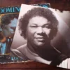LP Vinil Dominguinhos - Seu Domingos