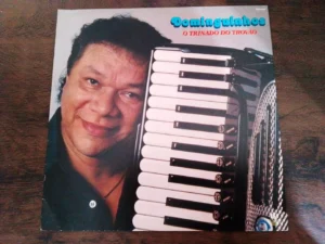 LP Vinil Dominguinhos - O Trinado Do Trovão