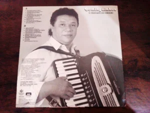 LP Vinil Dominguinhos - O Trinado Do Trovão