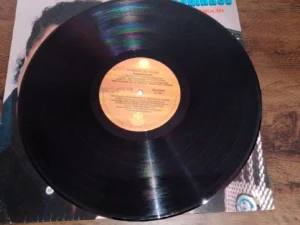 LP Vinil Dominguinhos - O Trinado Do Trovão