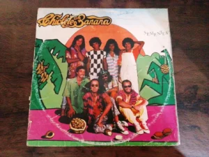 LP Vinil Chiclete Com Banana - Sementes