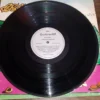 LP Vinil Chiclete Com Banana - Sementes