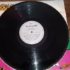 LP Vinil Chiclete Com Banana - Sementes