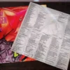 LP Vinil Nina Hagen - Ekstasy