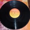 LP Vinil Nina Hagen - Ekstasy