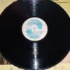 Lp Vinil Novela Brega e Chique - Nacional