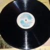 Lp Vinil Novela Brega e Chique - Nacional