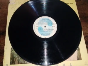 Lp Vinil Novela Brega e Chique - Nacional