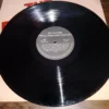 Lp Vinil The Platters (1992)
