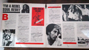 LP Vinil Bob Marley - Rebel Music