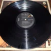 LP Vinil Painel De Controle - Desliga O Mundo
