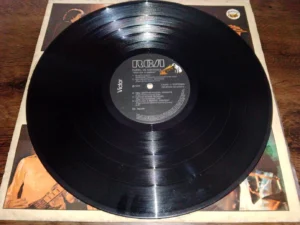 LP Vinil Painel De Controle - Desliga O Mundo