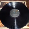 LP Vinil Painel De Controle - Desliga O Mundo