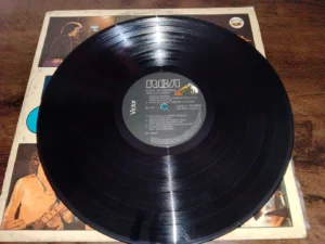 LP Vinil Painel De Controle - Desliga O Mundo