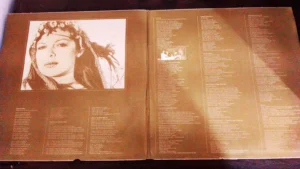LP Vinil Amelinha - Porta Secreta