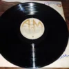 LP Vinil The Carpenters - Made In America