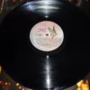 LP Vinil Pepeu Gomes - Na Terra A Mais De Mil