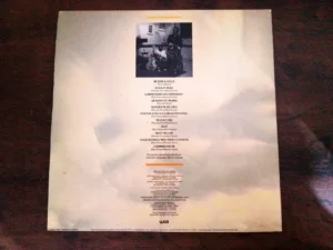 LP Vinil Raul Seixas e Marcelo Nova - A Panela Do Diabo