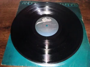 Lp Vinil Andreas Vollenweider – Down To The Moon