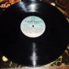 LP Vinil Flowers - Os Grandes Sucessos de Barry White