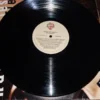 Lp Vinil Ray Charles - Would You Believe?