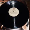 Lp Vinil Ray Charles - Would You Believe?