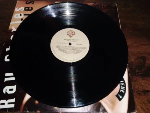 Lp Vinil Ray Charles - Would You Believe?