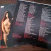 LP Vinil Lobão - O Rock Errou