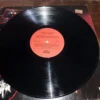 LP Vinil Banda Cheiro De Amor - Ao Vivo